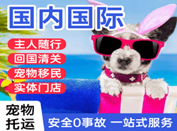 静巴机场空运国际宠物托运 【国